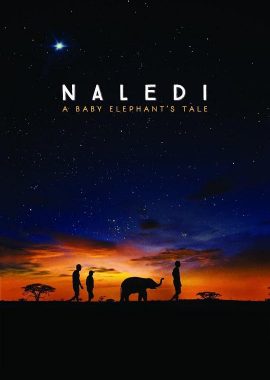 纳勒迪：一只小象的故事 Naledi: A Baby Elephant's Tale