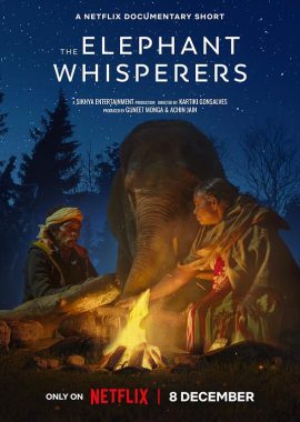 小象守护者 The Elephant Whisperers