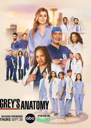 实习医生格蕾 第二十一季 Grey's Anatomy Season 21